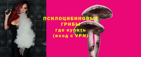 jwh Каменногорск