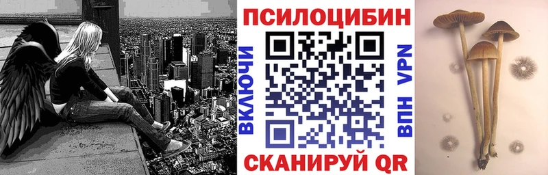 Купить где  Уяр  Псилоцибиновые грибы Psilocybine cubensis 